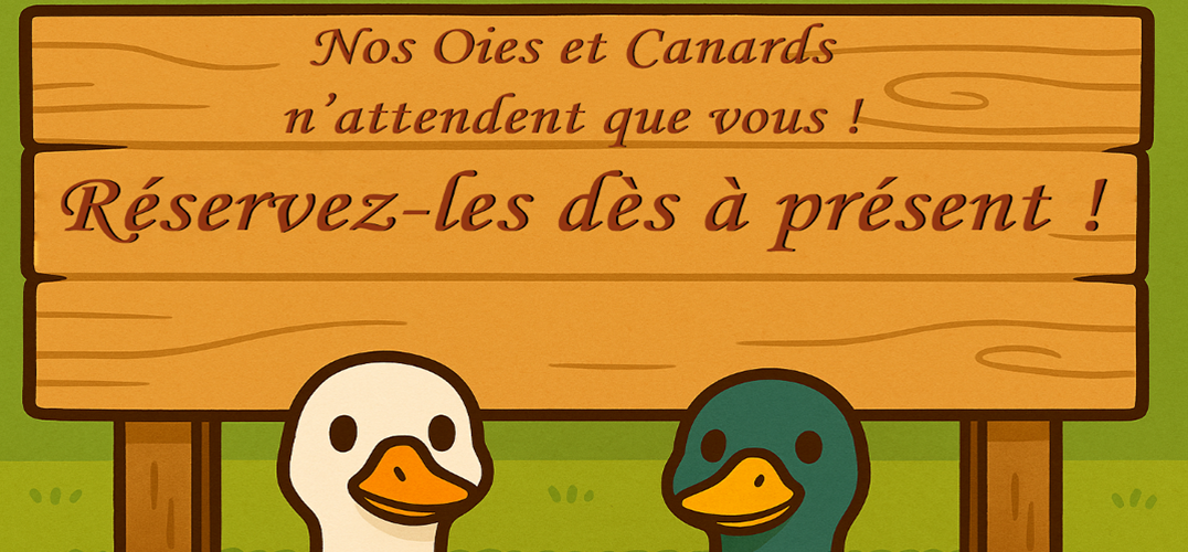 Oies et Canards à réserver dès maintenant